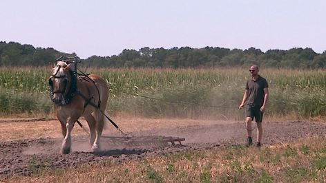 Evolutie van de landbouw was te zien in Steenbergen, met belangrijke boodschap