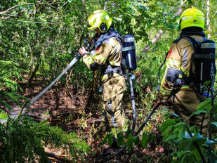 Brandweer voorkomt uitbreiding bosbrand nabij Vrederust