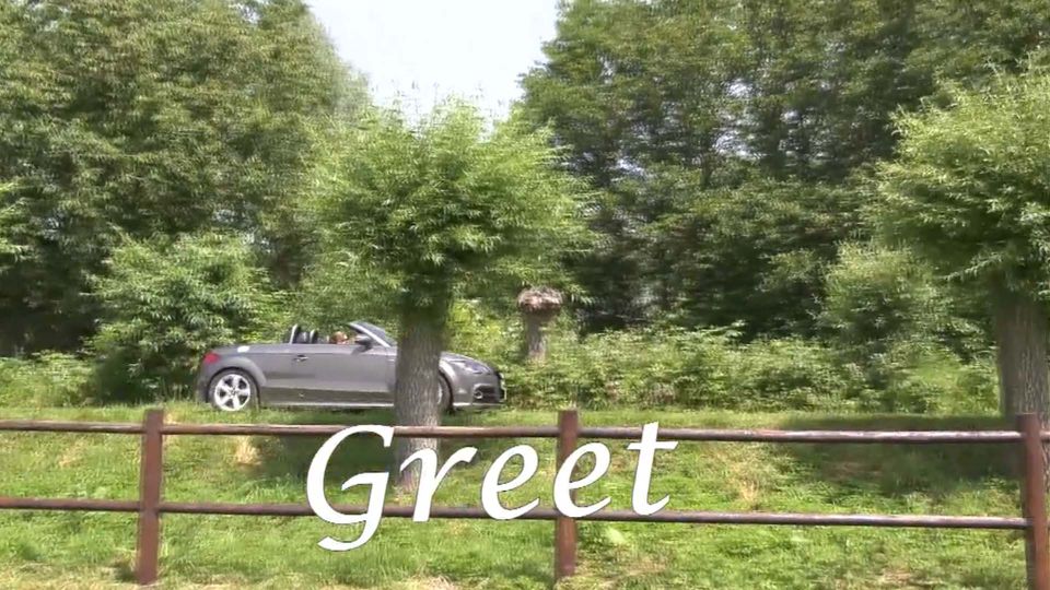 Greet