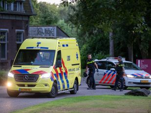 meisje loog over dader steekpartij