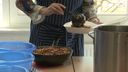 Leerlingen Curio Pomona koken voor Leger des Heils: &#8216;Alternatieve examenopdracht&#8217;