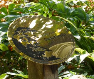 Botanische tuin in Oudenbosch ontvangt bijzondere ereprijs: &#8216;Voelt als een Michelinster&#8217;