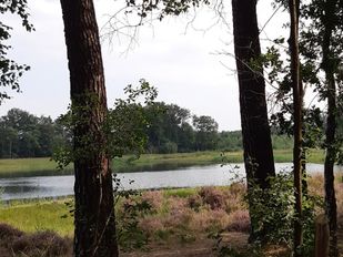 Het Rozenven in Landgoed Visdonk