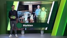 14 augustus – Roosendaal | Bergen op Zoom | Woensdrecht | Tholen | Steenbergen