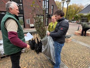 Inwoners van Klundert mogen gratis vergroenen.