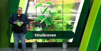 ZuidWest Update - 7 mei – Roosendaal | Bergen op Zoom | Woensdrecht | Tholen | Steenbergen