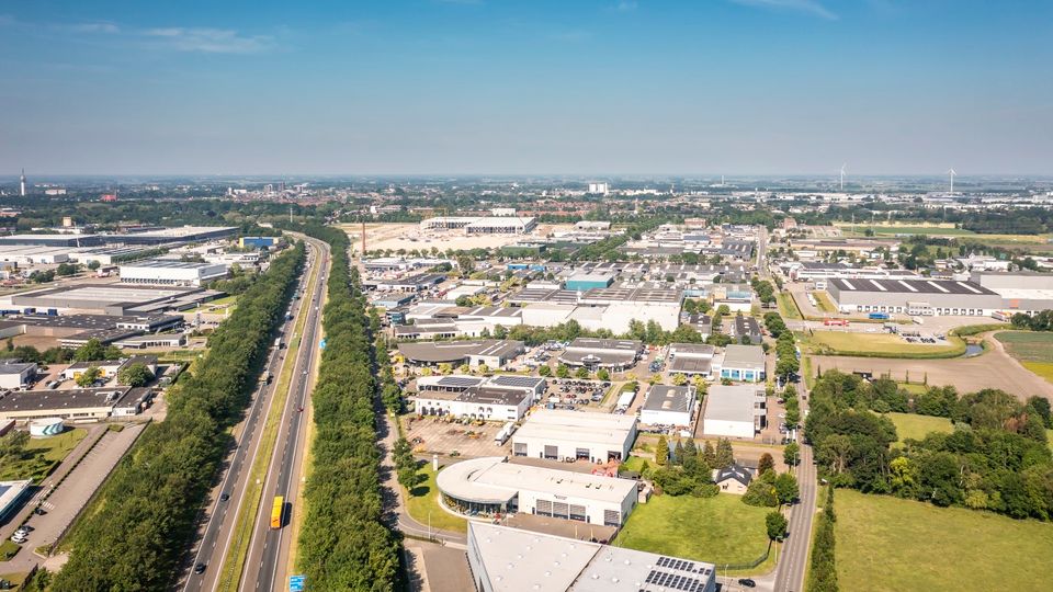 Majoppeveld in Roosendaal. | Foto: Koen Mol