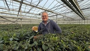 Wouter Eckelmans Local Tea Zundert