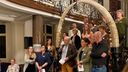 Waar zijn de slagtanden van Kasteel Ravenhof? Tanden spoorloos verdwenen