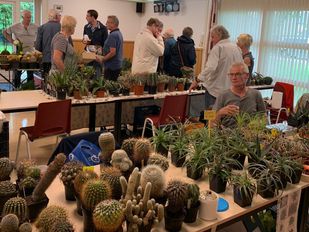 cactusbeurs etten-leur