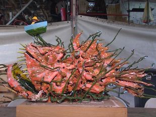 buurtschap schijf corso zundert