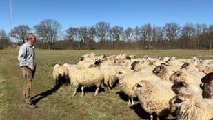 Van Driel Landschapsbeheer