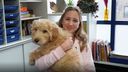 Schoolhond Duko zorgt voor gezelligheid en steun in de klas