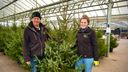 Een kijkje bij de kerstboomkwekerij: &#8216;Heel het jaar met kerstbomen bezig&#8217;