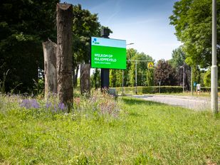 Wie aan een bedrijventerrein als Majoppeveld in Roosendaal denkt, zal niet gelijk aan duurzaamheid denken. | Foto: Koen Mol