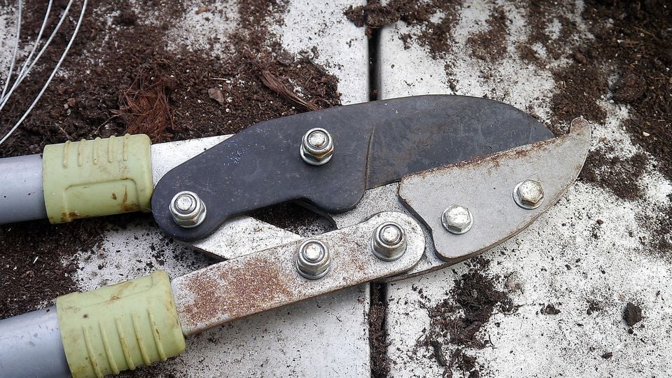 Buitendienst Woensdrecht