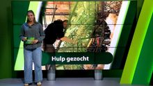 18 augustus – Roosendaal | Bergen op Zoom | Woensdrecht | Tholen | Steenbergen