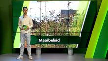2 oktober – Moerdijk | Etten-Leur | Zundert | Halderberge | Rucphen