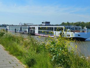 Bergs Beleidskader: kibbelen over AZC&#8217;s en dromen van &#8216;Loveboat&#8217;-cruiseterminal