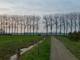 Waterschap onderzoekt gebiedsgerichte aanpak pacht: &#8216;Kijken naar wat wél kan&#8217;