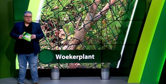 ZuidWest Update Weekoverzicht - 12 april – West-Brabant