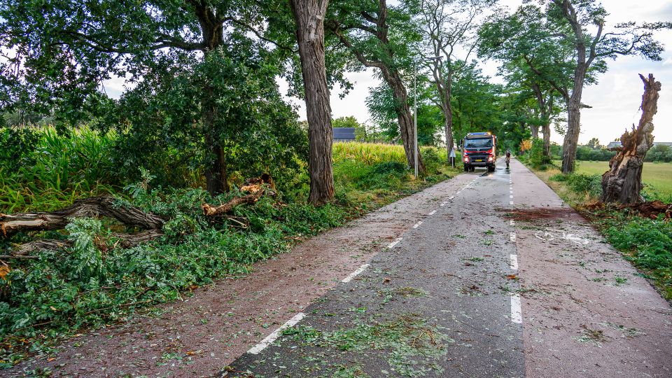 Flink aantal bomen omgewaaid door slecht weer in Achtmaal