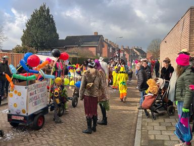 Carnaval Aopelaand