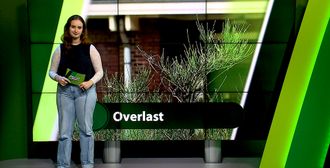ZuidWest Update - 16 september – Roosendaal | Bergen op Zoom | Woensdrecht | Tholen | Steenbergen