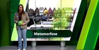 ZuidWest Update - 16 oktober – Moerdijk | Etten-Leur | Zundert | Halderberge | Rucphen