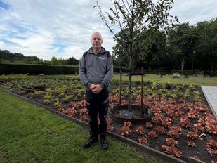 Op de Rooms Katholieke Begraafplaats kun je sinds kort een gedenkboom laten planten.