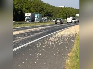 Uien snelweg A58