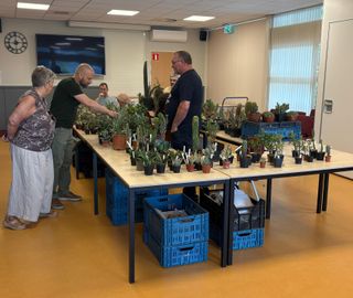 Vergrijzing heerst bij cactusclub, toch blijft jaarlijkse beurs vaste prik