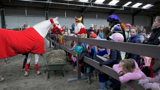 De kinderen kunnen kennis maken met paard Ozosnel.