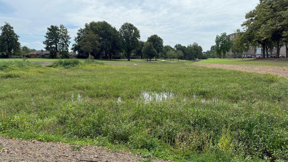 vijverberg bergen op zoom nieuws