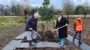 Sanneke Vermeulen en Klaar Koenraad planten bomen in Heerle. Foto: gemeente Roosendaal