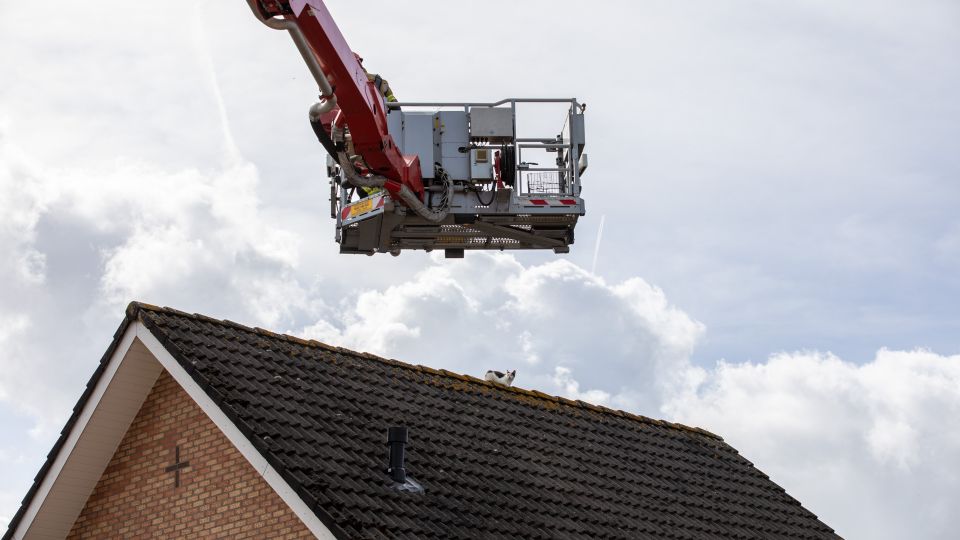 Brandweer schiet kat op dak te hulp