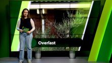 16 september – Roosendaal | Bergen op Zoom | Woensdrecht | Tholen | Steenbergen