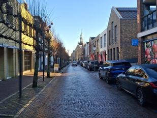 Lindebomen Molenstraat Zevenbergen