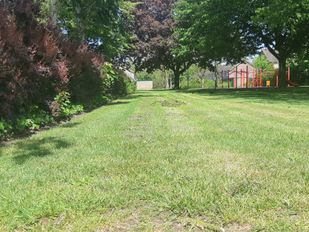 Maaibeleid bermen en sloten