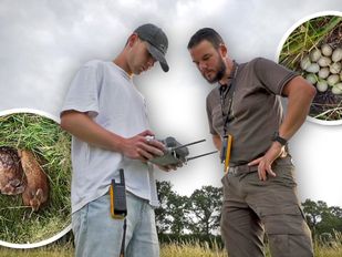 Verborgen in het hoge gras: drone redt reekalfjes van de maaier
