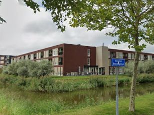 Bewoners willen meer groenonderhoud aan bomen en struiken, gemeente ziet geen problemen