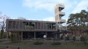 Uitkijken over de bossen vanaf nieuwe observatietoren