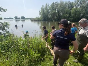 Ravon en Waterschap Brabantse Delta onderzoeken de visstand in Gat van den Ham met vrijwilligers (Foto: ZuidWest Update)