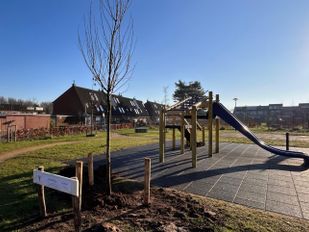 bloesembos roosendaal