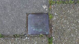 struikelsteen leentje van elst roosendaal