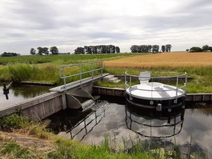 In de Ossendrechtse polder krijgen stuwen een vislift.