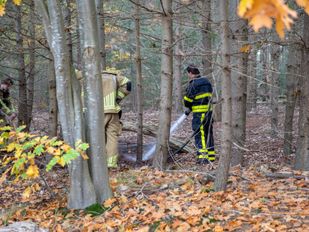 Branden Rucphense Heide