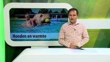 ZuidWest Update – 30 juni 2025