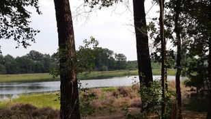 Het Rozenven in Landgoed Visdonk