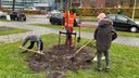 Nieuwe bomen in Hoogerheide geplant ter ere van de Boomfeestdag
